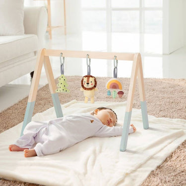 Baby Play Gym